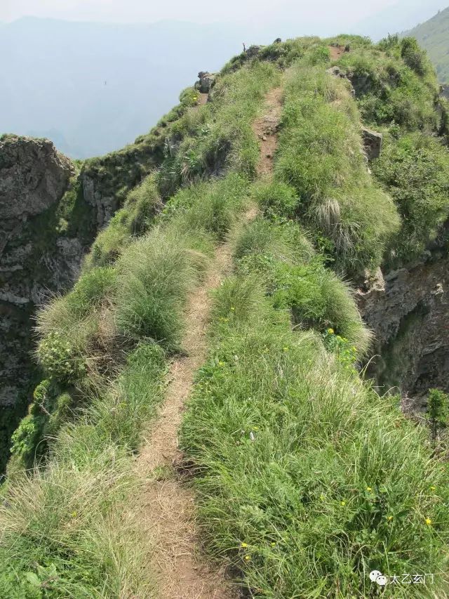 小五台山金莲花坡,小五台金莲花