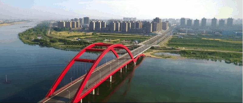 灵璧青年丁云：乡村振兴路上“兔”飞猛进