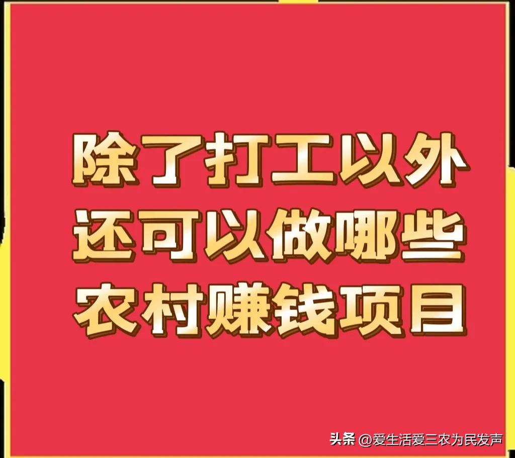 农民工回老家创业好做吗,农民工转行做什么有前景