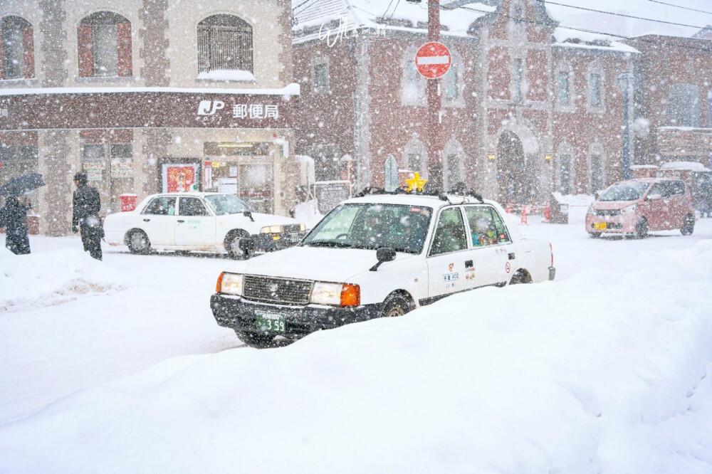 虽然聪明但是不擅长耍心机的星座,有难时却能热心助人的星座