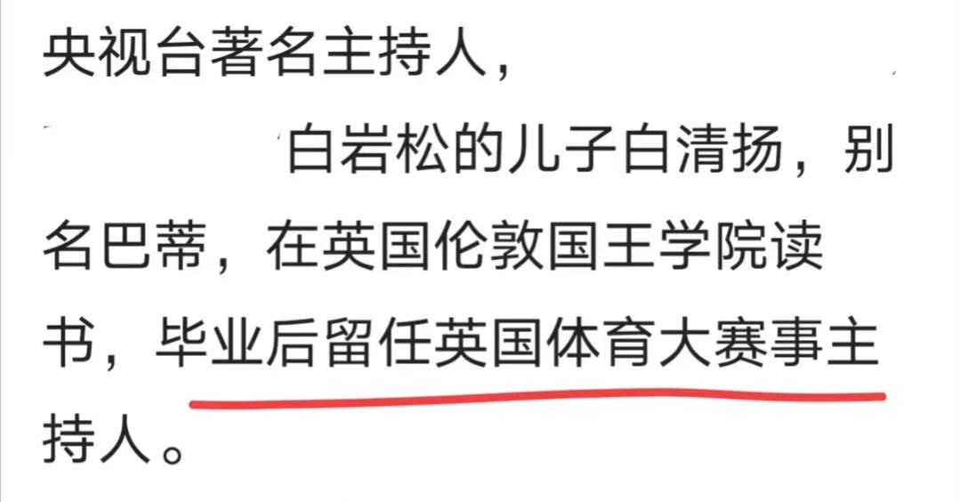 白岩松儿子白清扬学霸,白岩松儿子白清扬简介