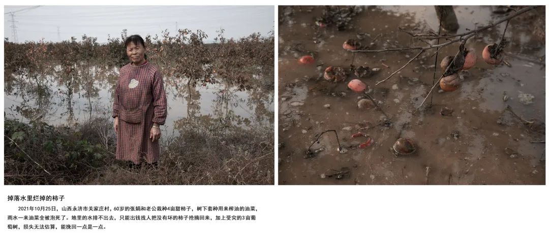 迎接党的20大美术作品,喜迎二十大乡村摄影展