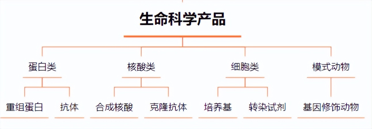 医药细分领域分布图,医药行业板块划分
