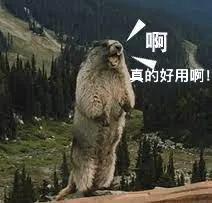 雅漾修复霜老爸评测,雅漾修复霜视频