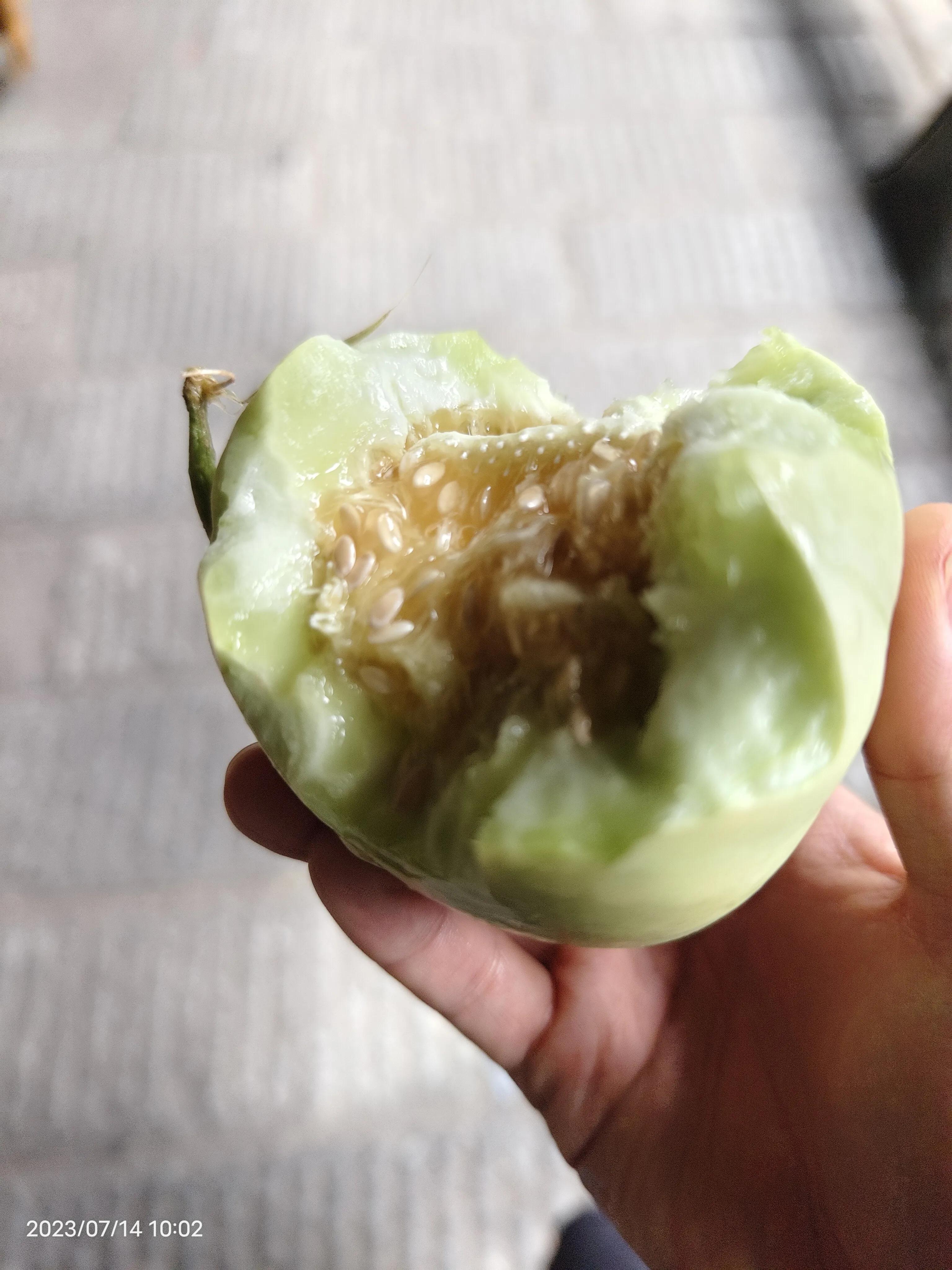 衡山南岳一日游,南岳衡山是五岳最灵的吗