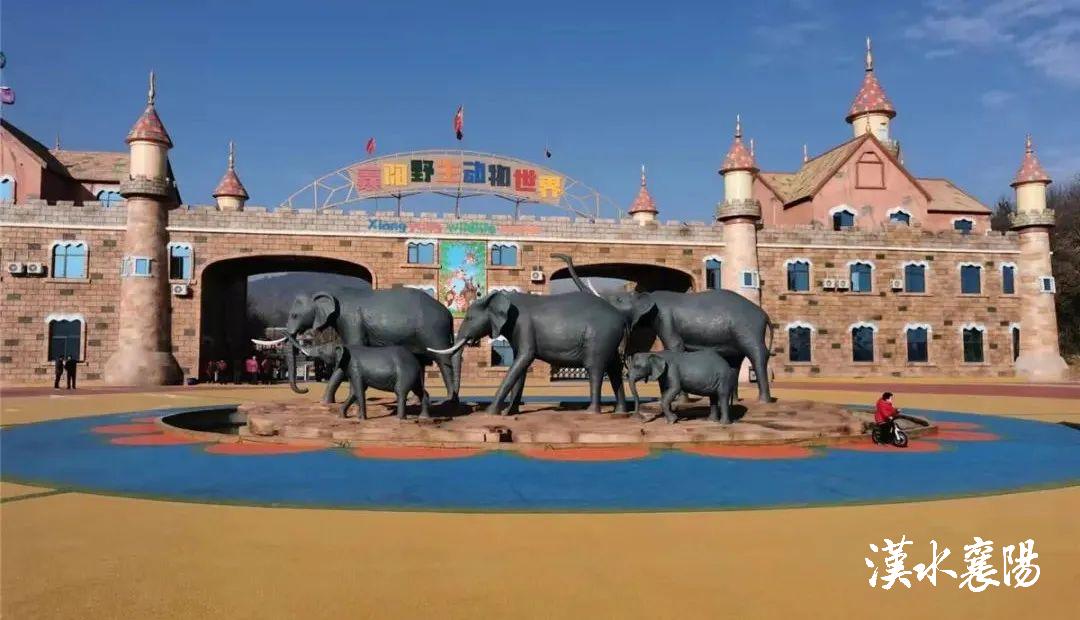 应届中高考生优惠机票,高考生有无飞机优惠