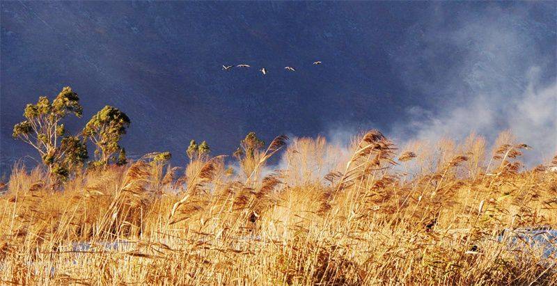 大理开启大理之旅,冬季的大理适合旅游吗