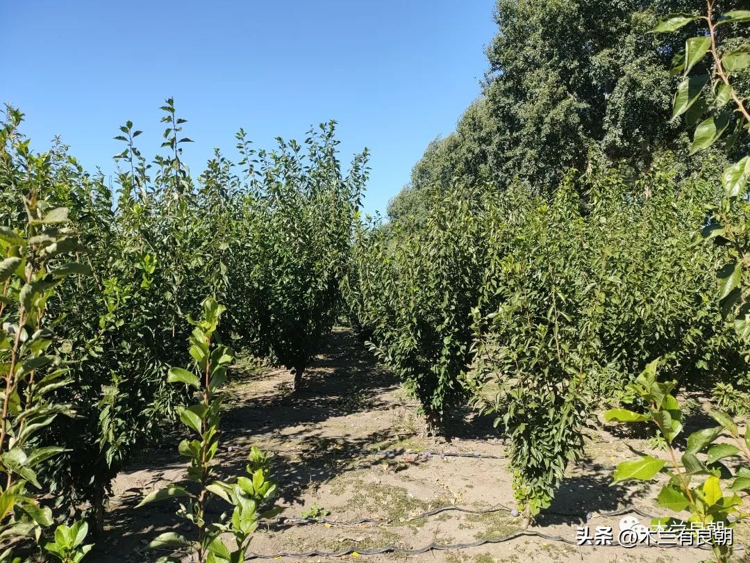 疫情虽然可怕但是我们永不畏惧,疫情依然不容小视