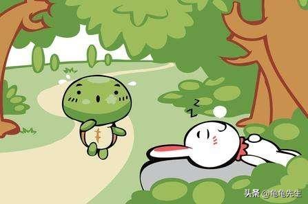 养乌龟又有哪些常识和技巧,新手养乌龟的十条建议