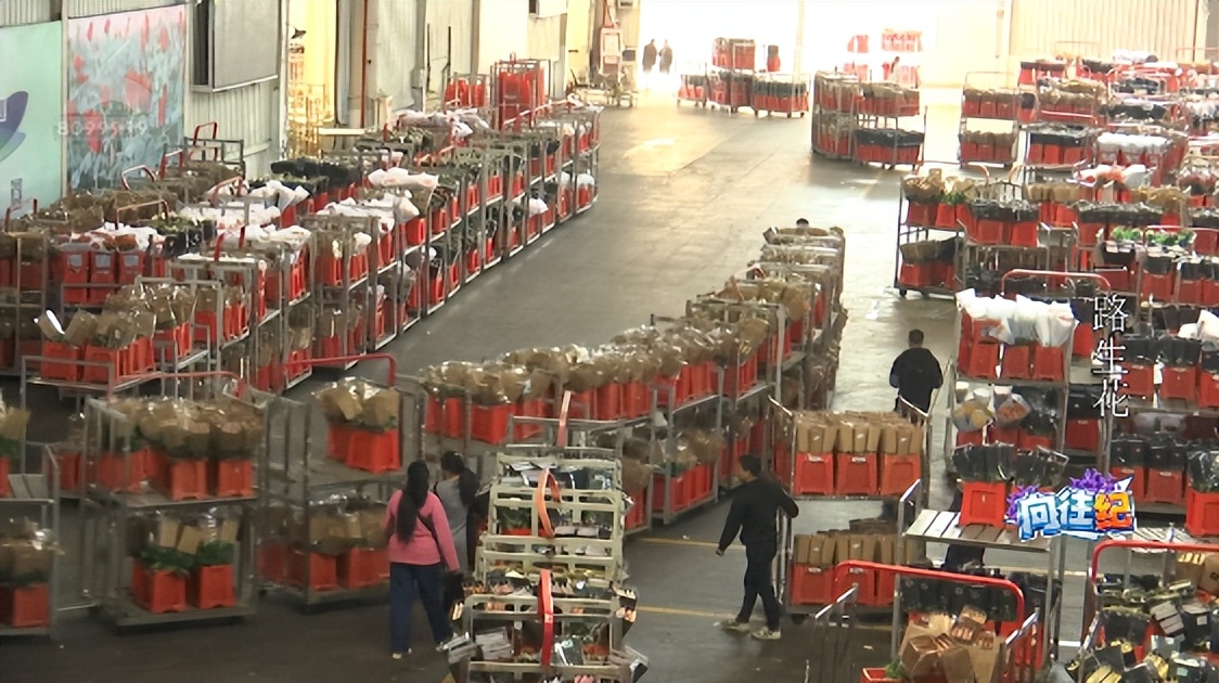 盘点人们都向往的工作,向往的工作和现实的工作