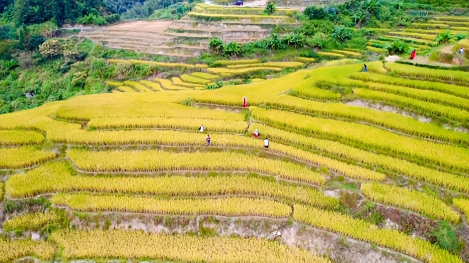 韶关秋天哪里有美景,韶关秋天美景