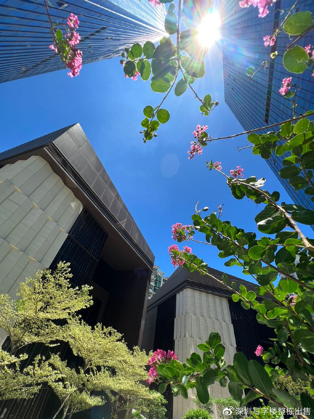 深圳罗湖水贝珠宝园写字楼出租,深圳罗湖区水贝租房子