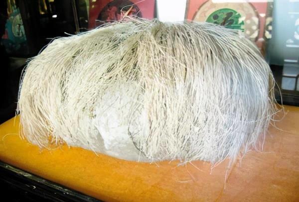 老汉捡到一长满白发石头,辽宁老农捡到一块长头发的石头