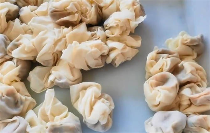 馄饨饺子怎样放冰箱冷藏好,包什么馅的馄饨好放冰箱保存