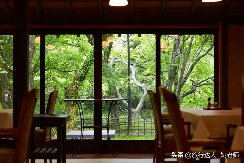 日本冰雪温泉之旅,迎着飞雪泡温泉日本冬季小众游