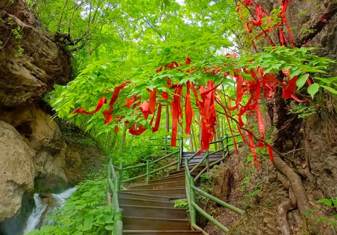 王府竹海实景剧本杀宣传片,王府竹海剧本杀价格