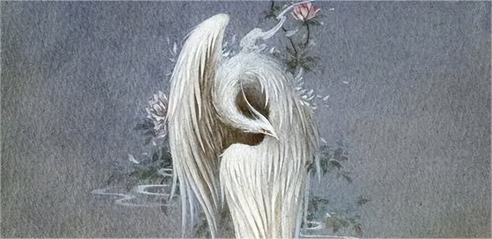 山海经中的两面国,山海经中的中原地区