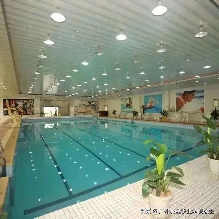 一篇校园推文,校园推文美篇