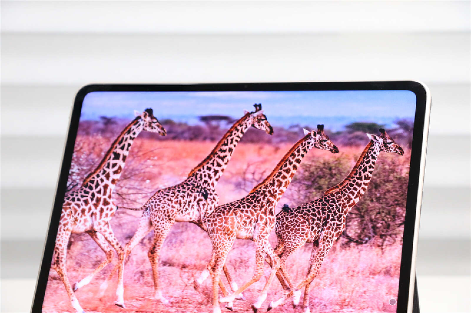 oppopad2平板发布时间,oppopad平板