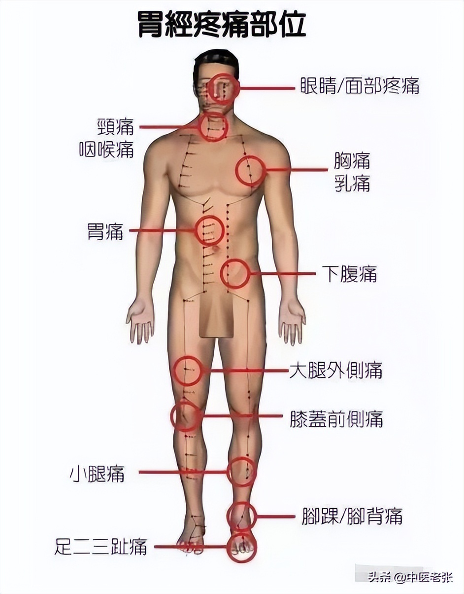 五脏六腑疼痛区高清图对照,人体五脏六腑疼痛区