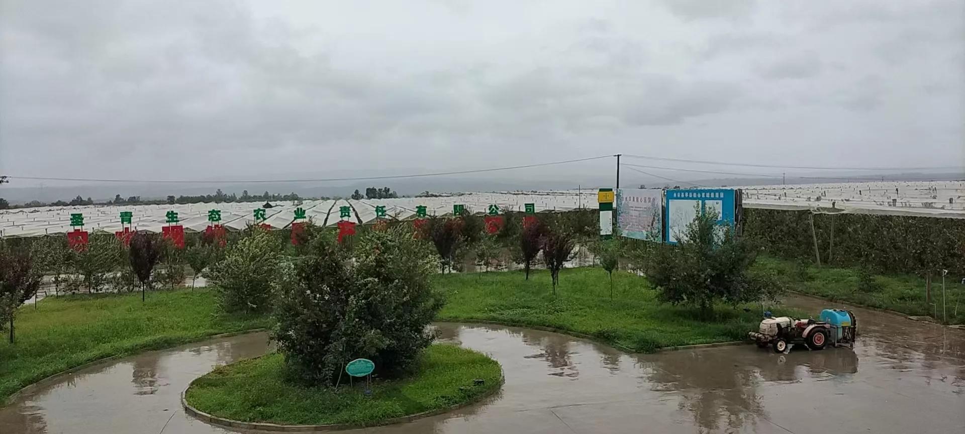 白水舌尖之美味