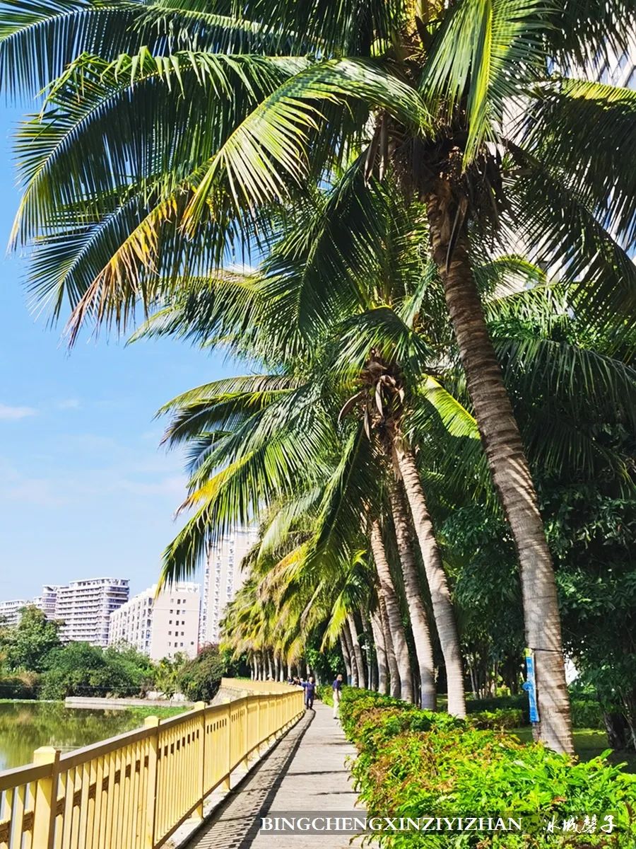 旅居海南：九所新区的浪漫情