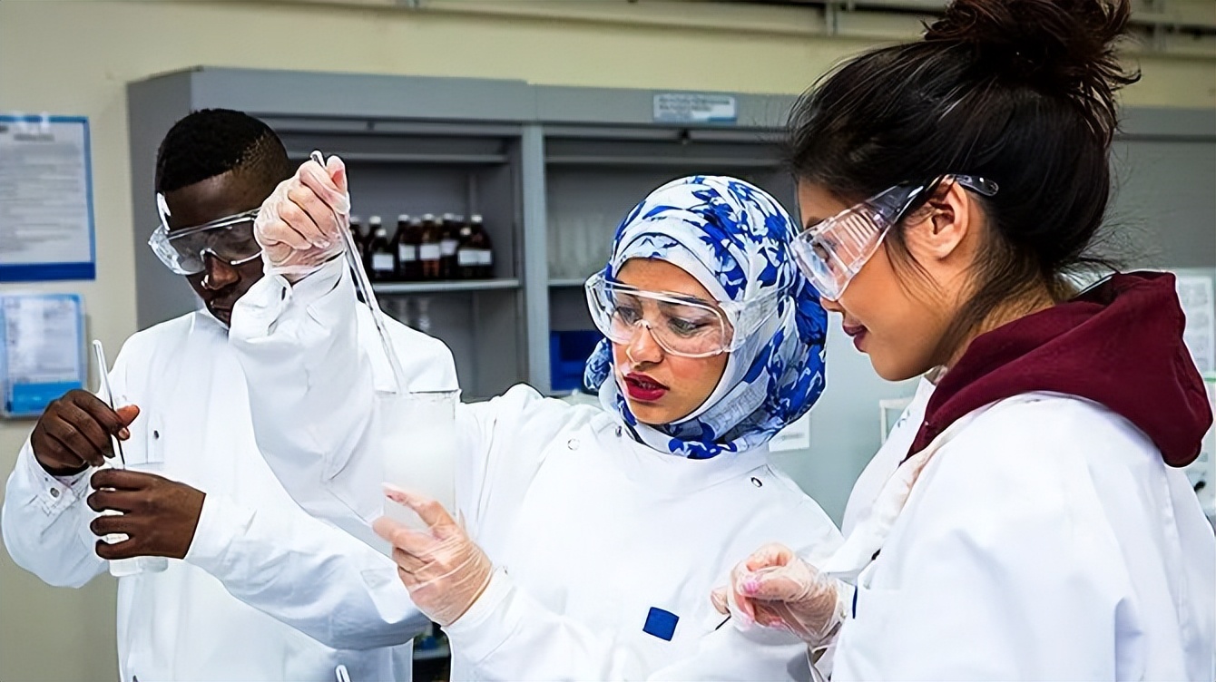 英国有护理学科的大学,英国最好的药剂学校