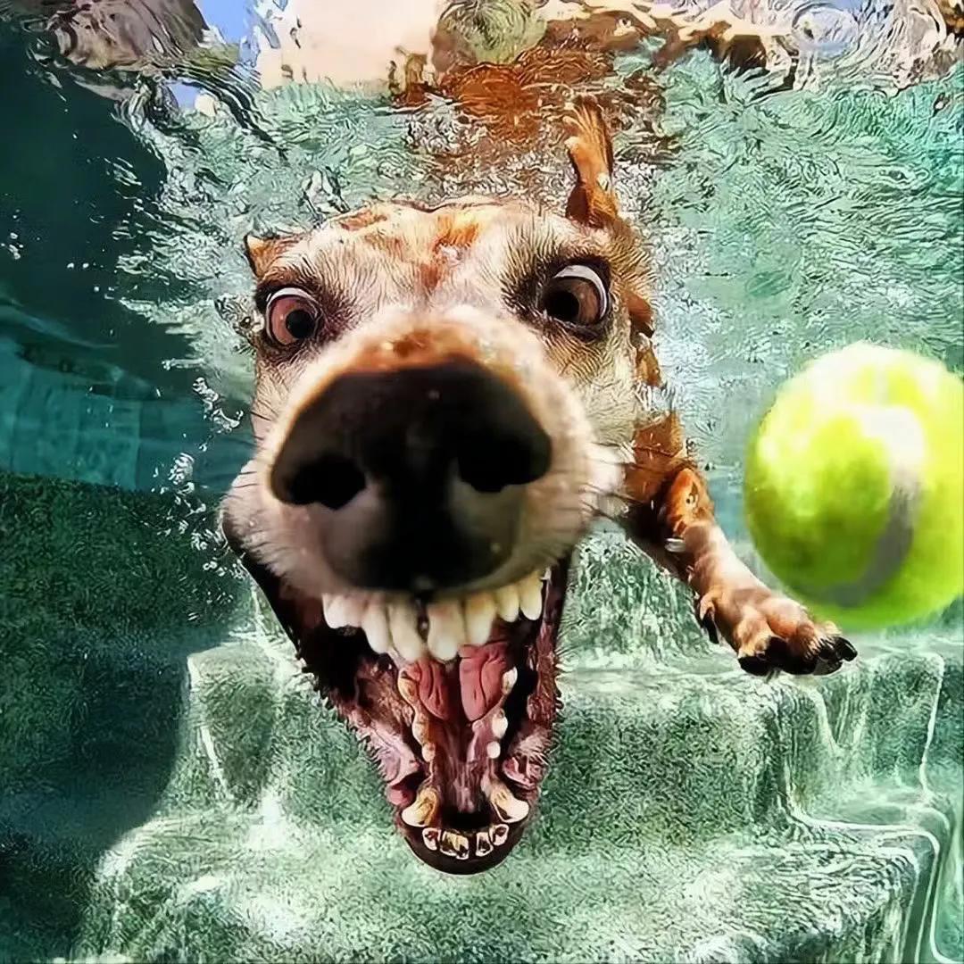 澶村儚澶у叏鐢风敓闇告皵鍐烽叿,鐙瓙澶村儚鐢风敓闇告皵鍐烽叿