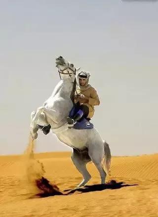 迪拜王子哈曼丹和哥哥拉希德,迪拜王子哈曼丹写的诗