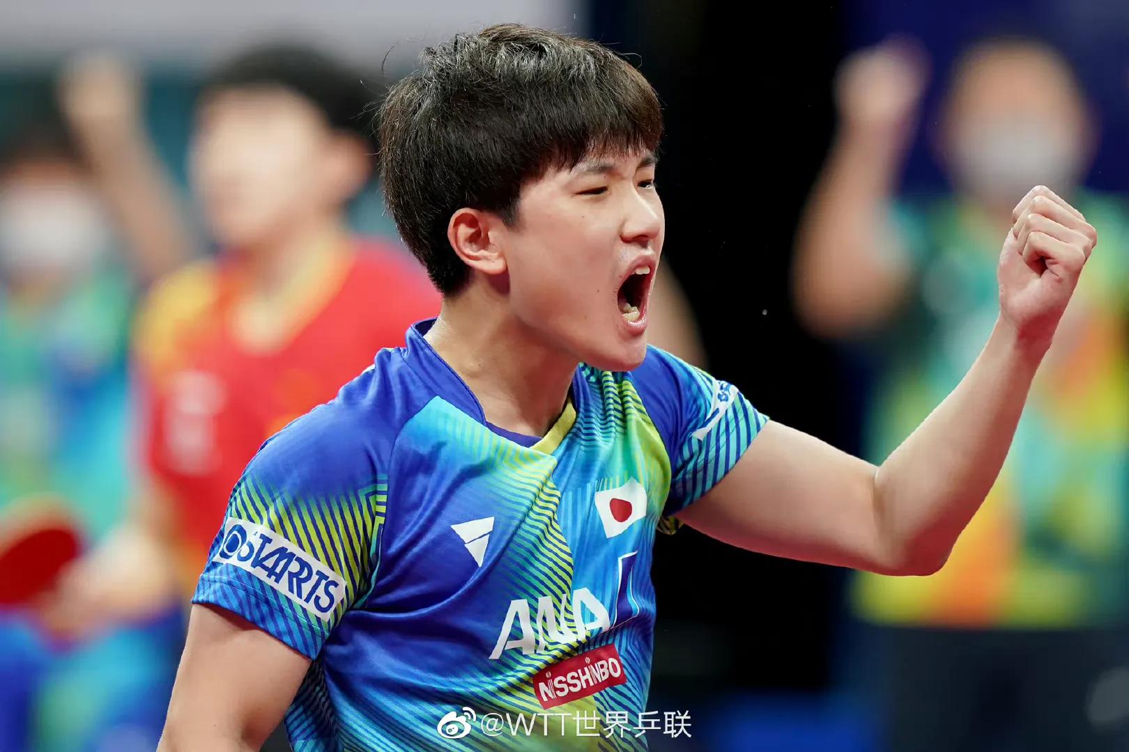 张本智和赢了樊振东和王楚钦,张本智和连赢王楚钦和樊振东