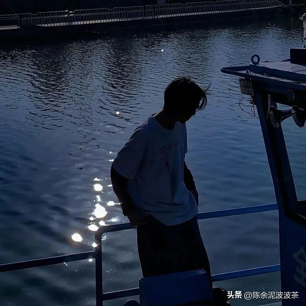 可爱的猫咪头像和小狗头像,团子头像可爱微信头像