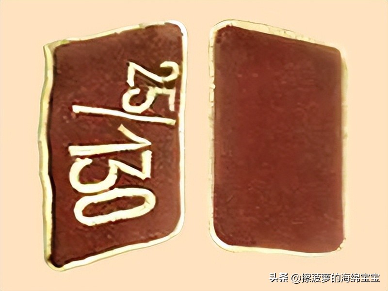 纳粹冲锋队用的什么枪,纳粹德军军衔图解