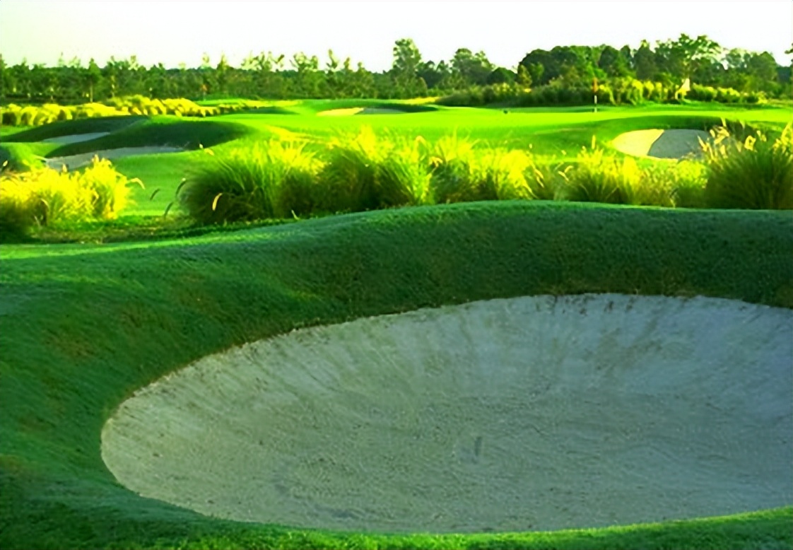 上海银涛高尔夫有限公司,上海银涛高尔夫球场项目