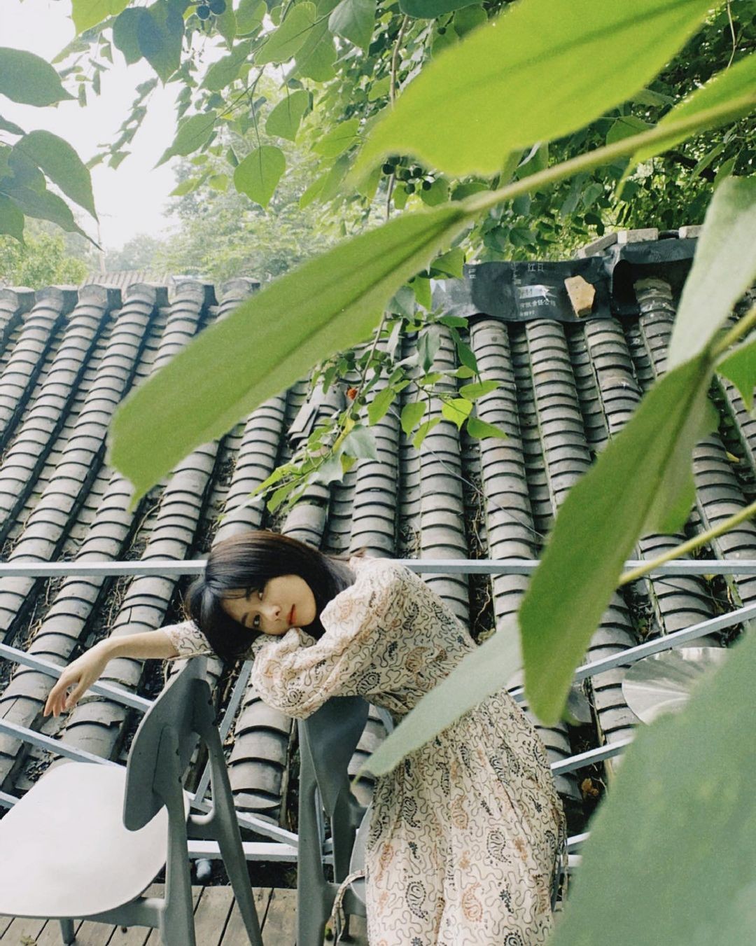 娱乐圈的白月光们有哪些共同点,娱乐圈白月光有哪些