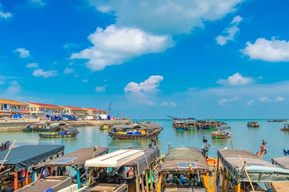 盘点那些过气网红的现状,2020年已经过气的网红