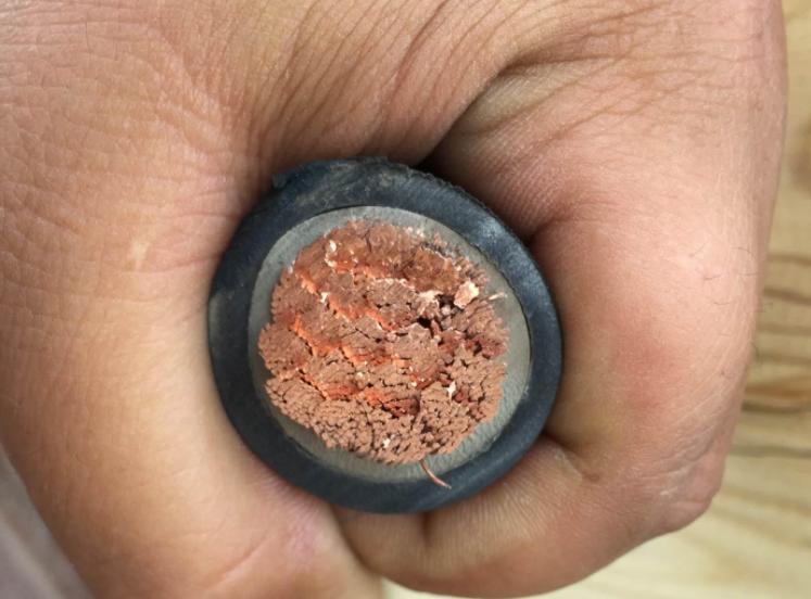 员工举报老板结果被开除,员工实名诬告公司领导怎么处理