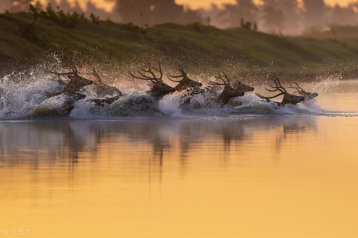 江苏唯一有山的城市,中国海拔最高的风景区