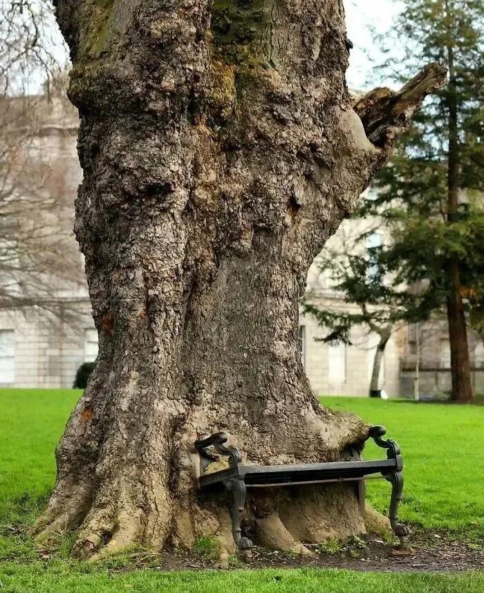 涓栫晫鍗佸ぇ瓒呮ā韬潗鍥剧墖鍥炬枃,涓栫晫鍗佸ぇ瓒呮ā鎯婅壋鍐欑湡