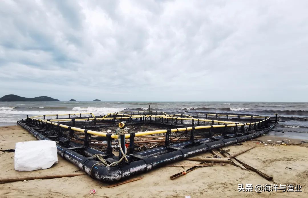 深水网箱养殖怎么选择海域,台风暹芭对沿海养殖有什么影响