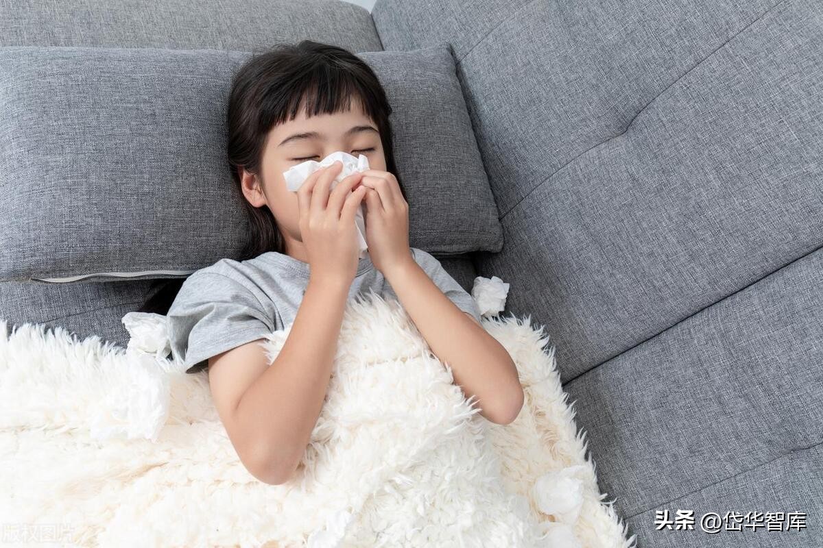 苗药发展大会贵州百灵,贵州百灵第一届苗药发展大会