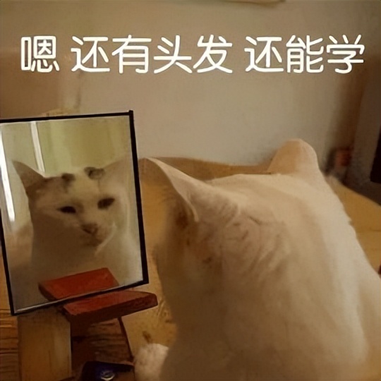 2023日语考试报名时间一览表,2023年下半年日语n3考试时间