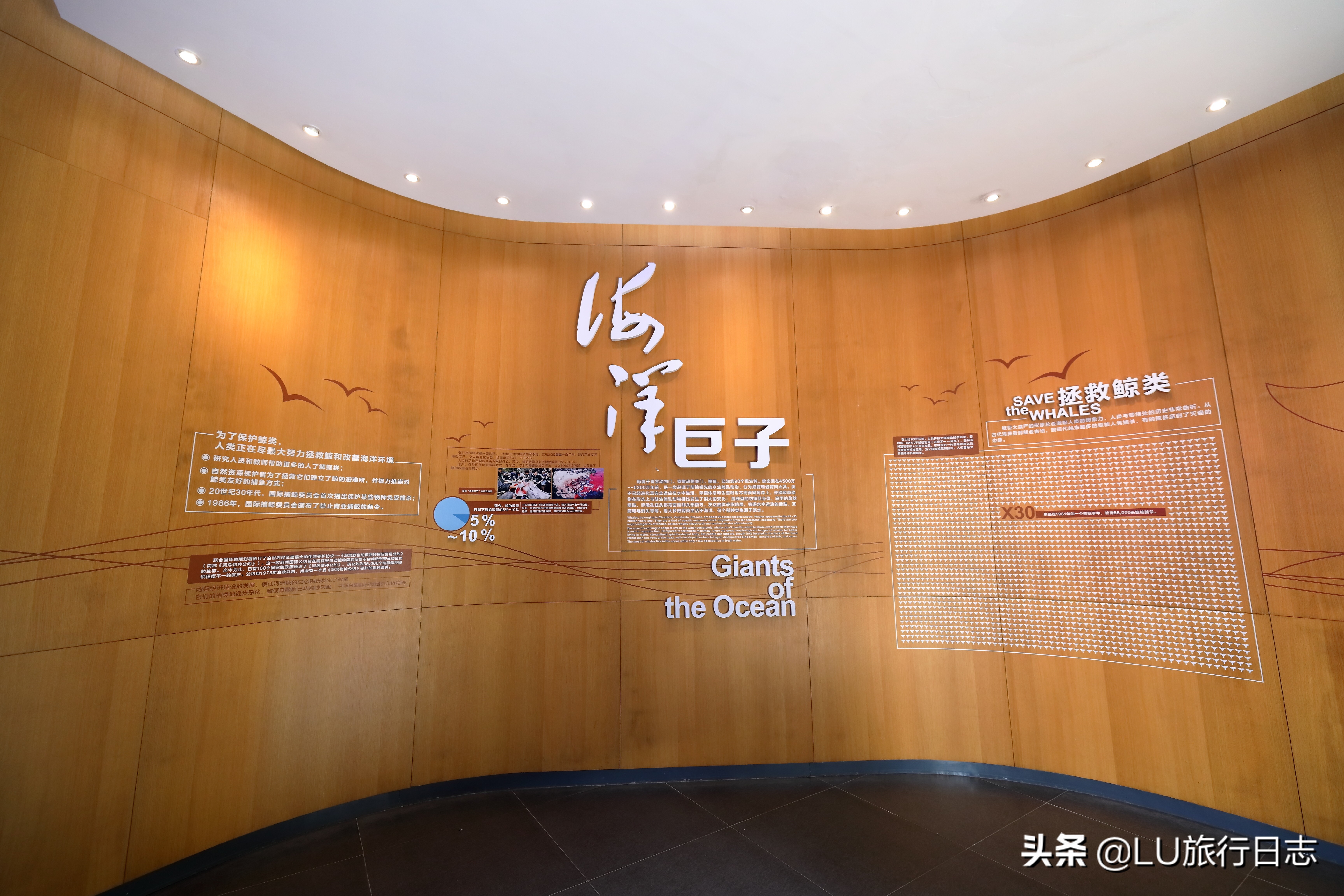 夏至|蝉鸣惊半夏，乐园极地纳清凉