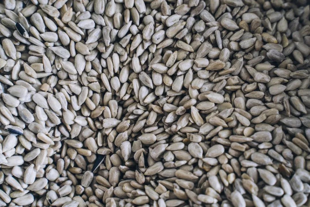 嗑瓜子的害处,嗑瓜子是有味的好还是原味的好