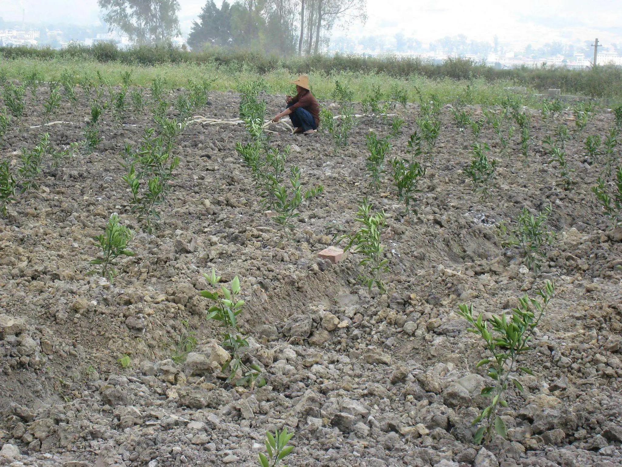 2024临时用地补偿标准是什么,当前农村的土地补偿标准