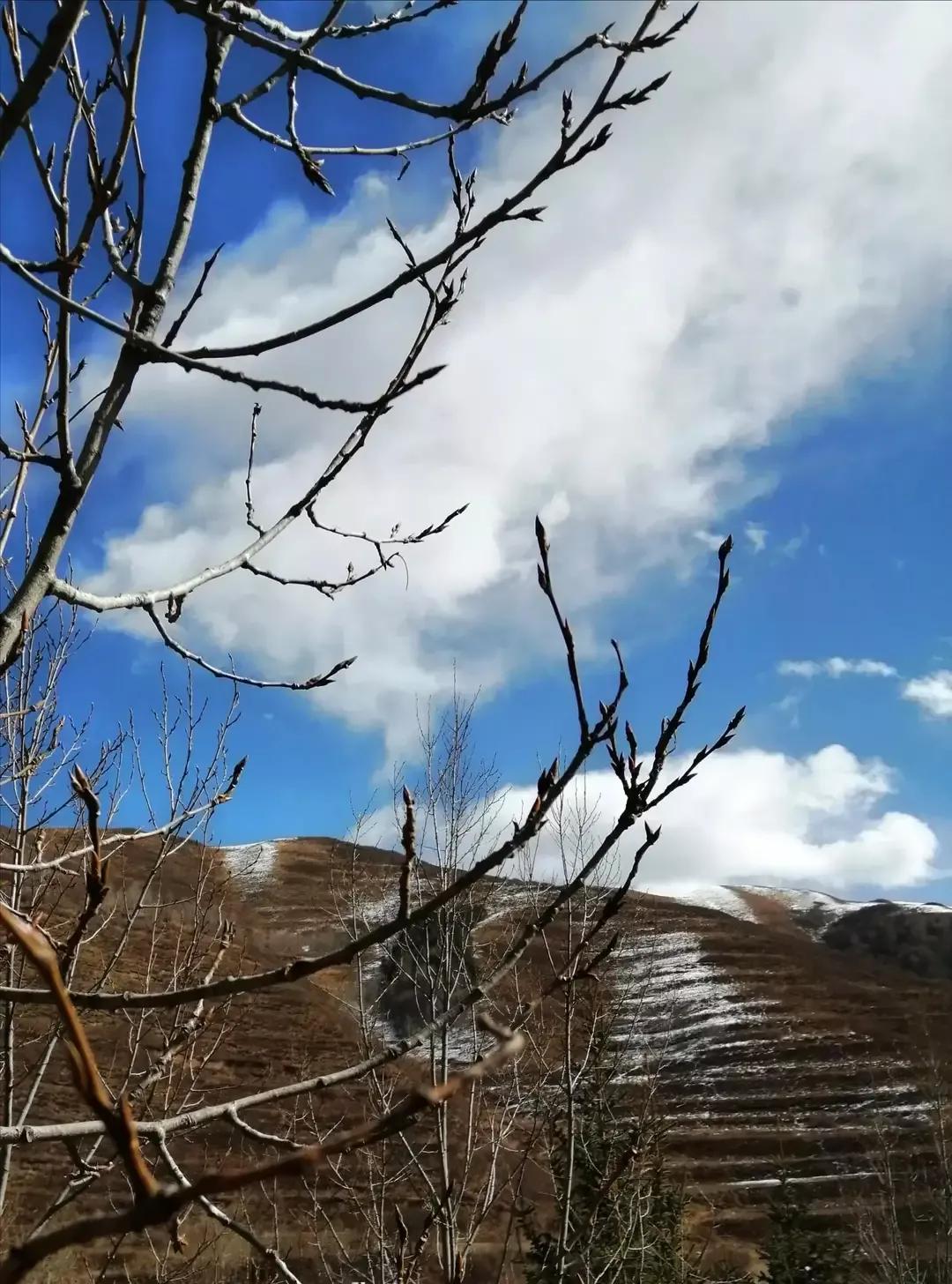 飞雪满群山诗句,飞雪满群山歌曲