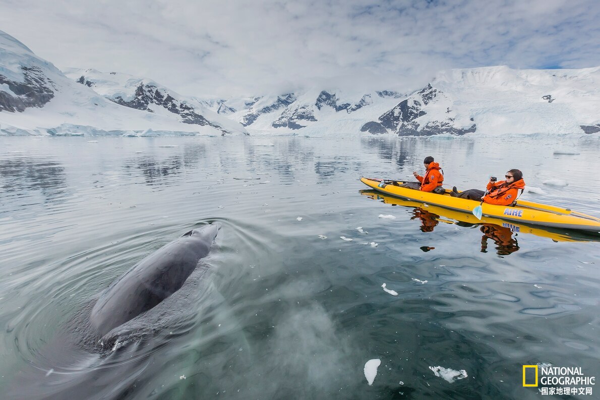 南极洲没有太阳是什么样子的,南极洲的气候类型