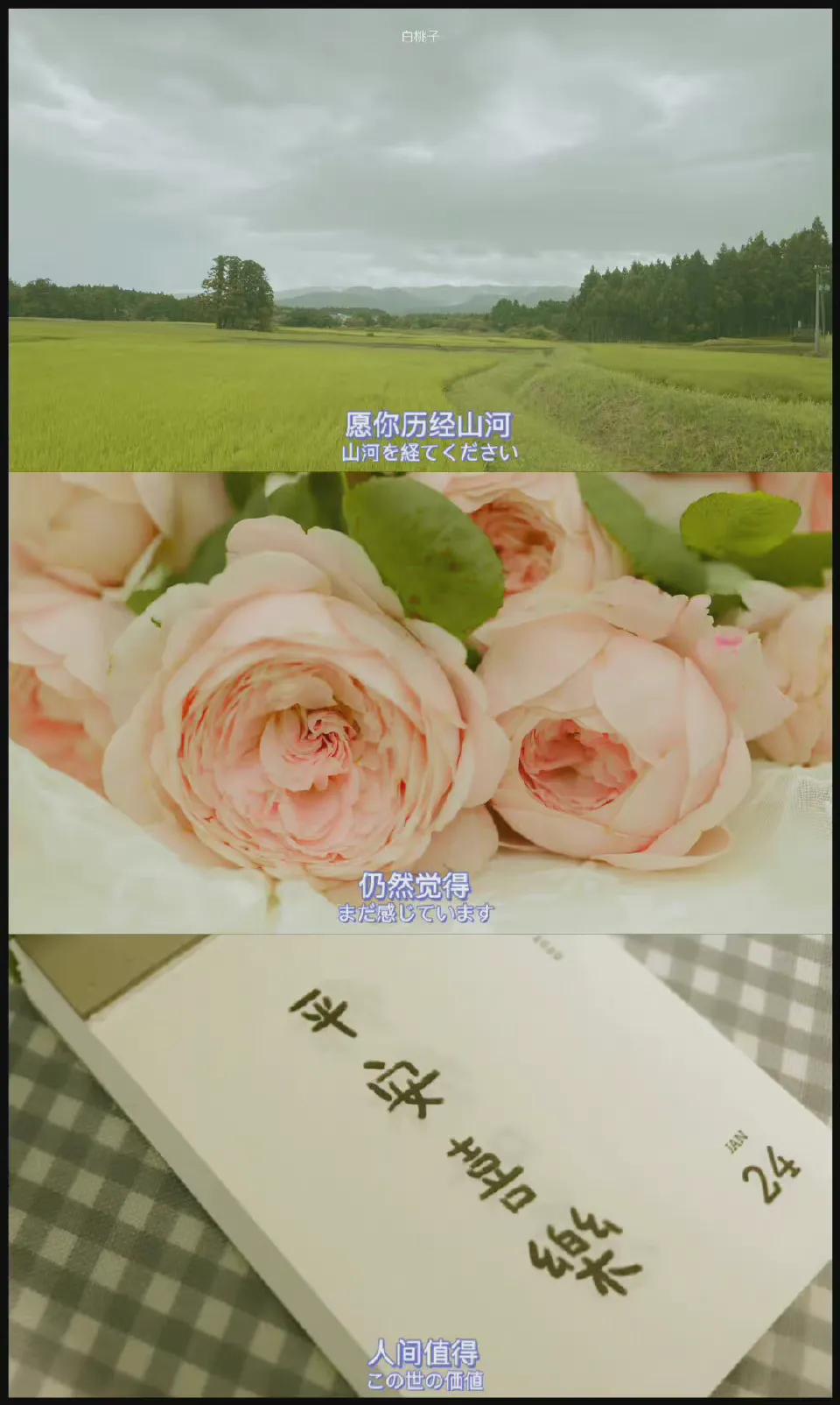 夏天风景壁纸高清全面屏,夏天图片唯美风景壁纸