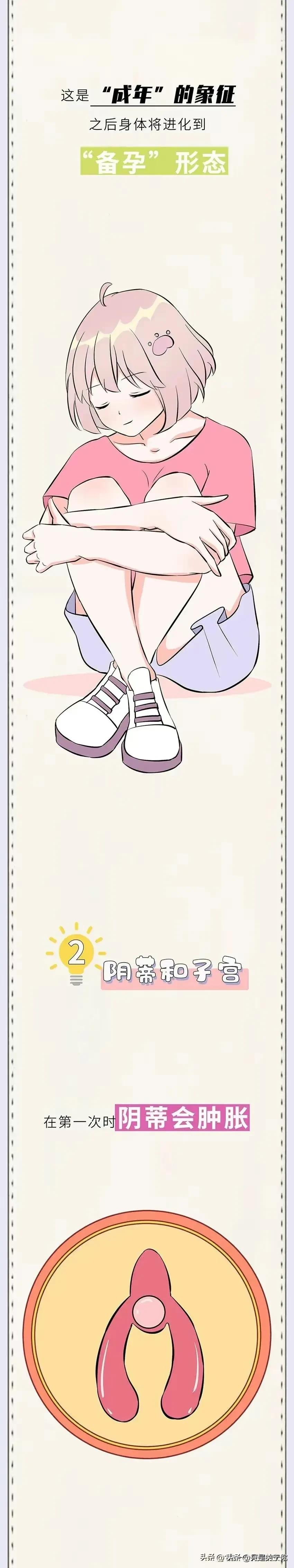 漫画女性成长,漫画女生青春期变化