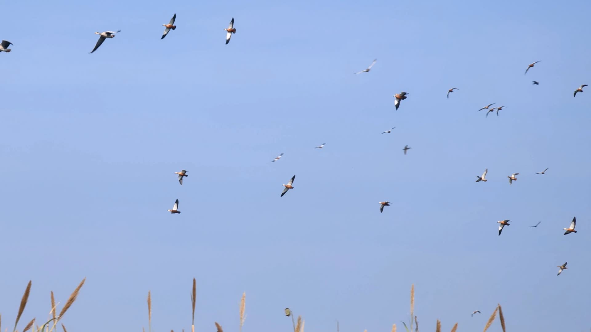 苏浙皖赣的旅游景点有多少,苏皖旅游景点推荐