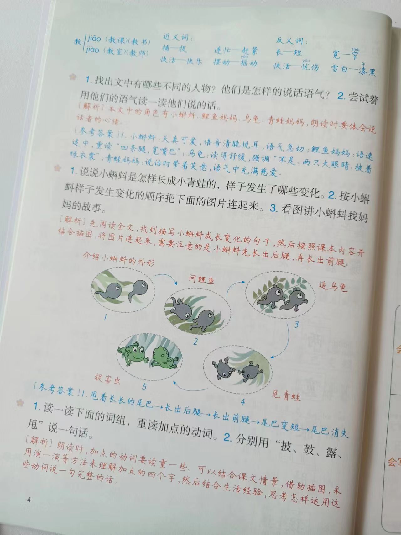 语文学习必备五件事,语文学习方法和技巧六句话